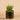 Greenery-Artificial Potted Succulent-Bloomr