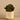 Greenery-Artificial Potted Succulent-Bloomr