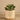 Greenery-Artificial Potted Succulent-Bloomr