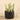 Greenery-Artificial Potted Succulent-Bloomr