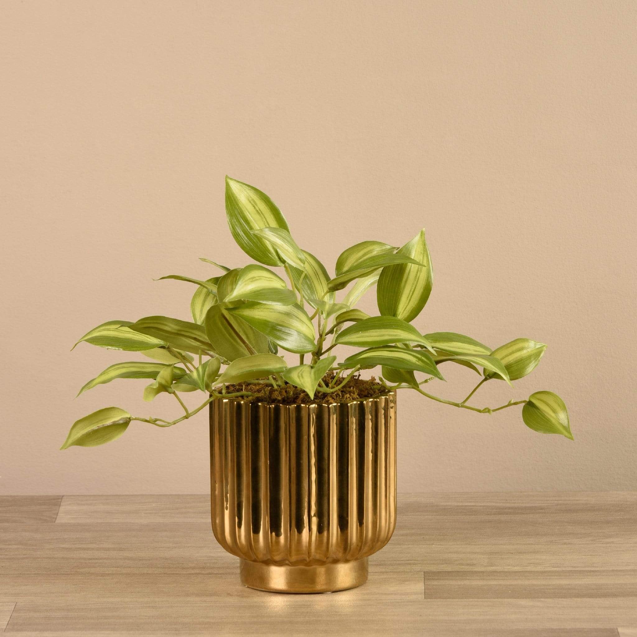 Artificial Potted Vanilla Leaf - Bloomr