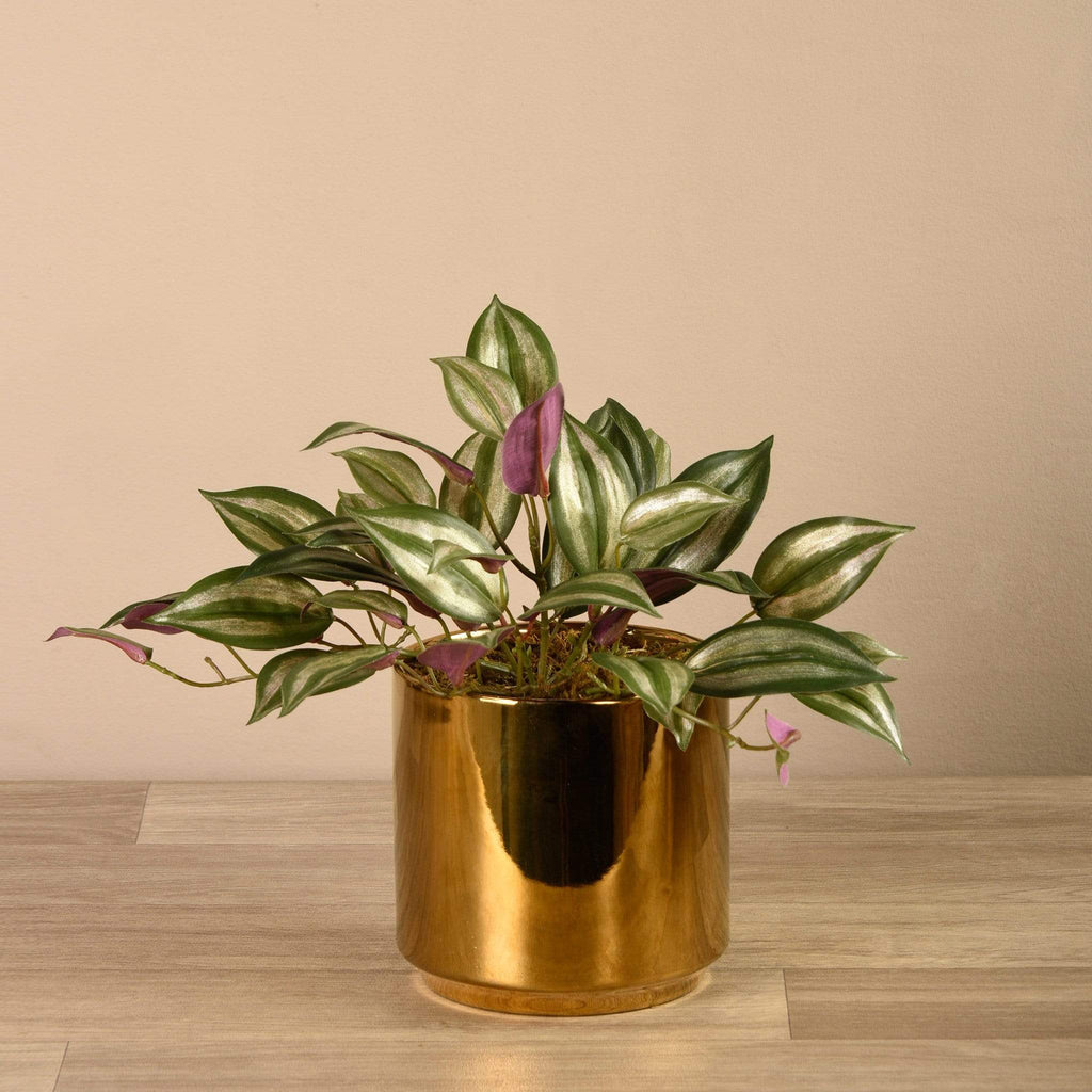 Artificial Potted Dark Vanilla Leaf Plant - Bloomr