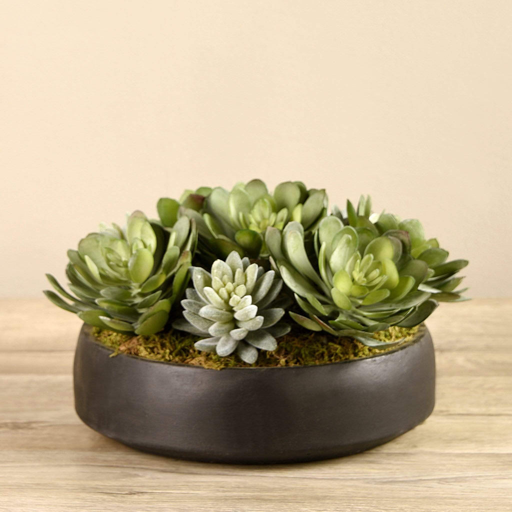 Artificial Succulent Arrangement in Bowl - Bloomr