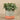 Greenery-Artificial Eucalyptus Arrangement in Ceramic Vase-Bloomr