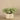 Greenery-Potted Silver Fall Plant-Bloomr