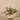 Greenery-Artificial Potted Vanilla Leaf Plant-Bloomr