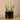 Greenery-Artificial Succulent in Black Pot-Bloomr