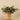 Greenery-Artificial Potted Vanilla Leaf Plant-Bloomr