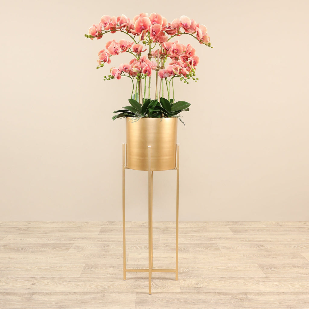 Artificial Orchid Arrangement - Bloomr