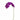 Flowers-Orchid Stem-Bloomr