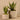 Plants-Artificial Aloe in Cement Pot-Bloomr