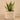 Plants-Artificial Aloe in Cement Pot-Bloomr