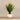 Plants-Artificial Potted Agave-Bloomr