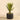 Plants-Artificial Potted Agave-Bloomr