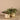 Plants-Artificial Potted Dark Vanilla Leaf Plant-Bloomr