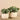 Plants-Artificial Potted Eucalyptus-Bloomr