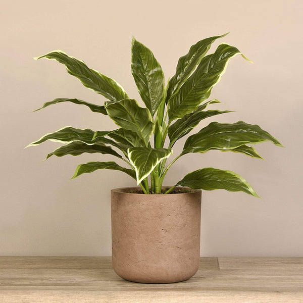 Artificial Potted Hosta Leaf - Bloomr