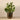 Plants-Artificial Potted Watercress-Bloomr