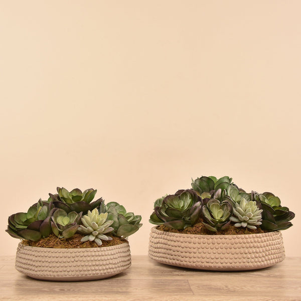 Artificial Succulent Arrangement - Bloomr