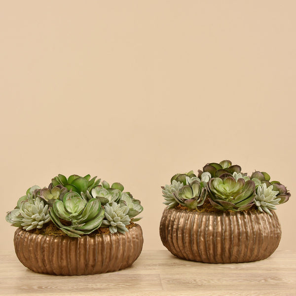 Artificial Succulent Arrangement - Bloomr