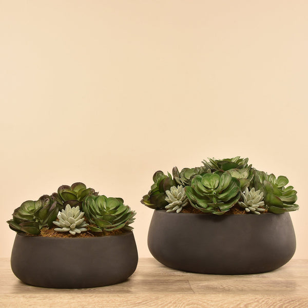Artificial Succulent Arrangement - Bloomr