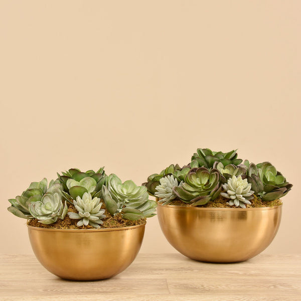 Artificial Succulent Arrangement - Bloomr
