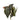 Plants-Begonia Maculata-Bloomr