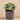 Plants-Artificial Potted Eucalyptus-Bloomr