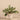 Plants-Artificial Vanilla Leaf in Cement Pot-Bloomr