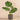 Plants-Potted Monstera Plant-Bloomr