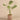 Plants-Artificial Calathea Plant in Cement Pot-Bloomr