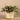 Plants-Artificial Potted Dark Vanilla Leaf Plant-Bloomr