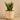 Plants-Artificial Potted Aloe-Bloomr