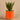 Plants-Potted Aloe-Bloomr