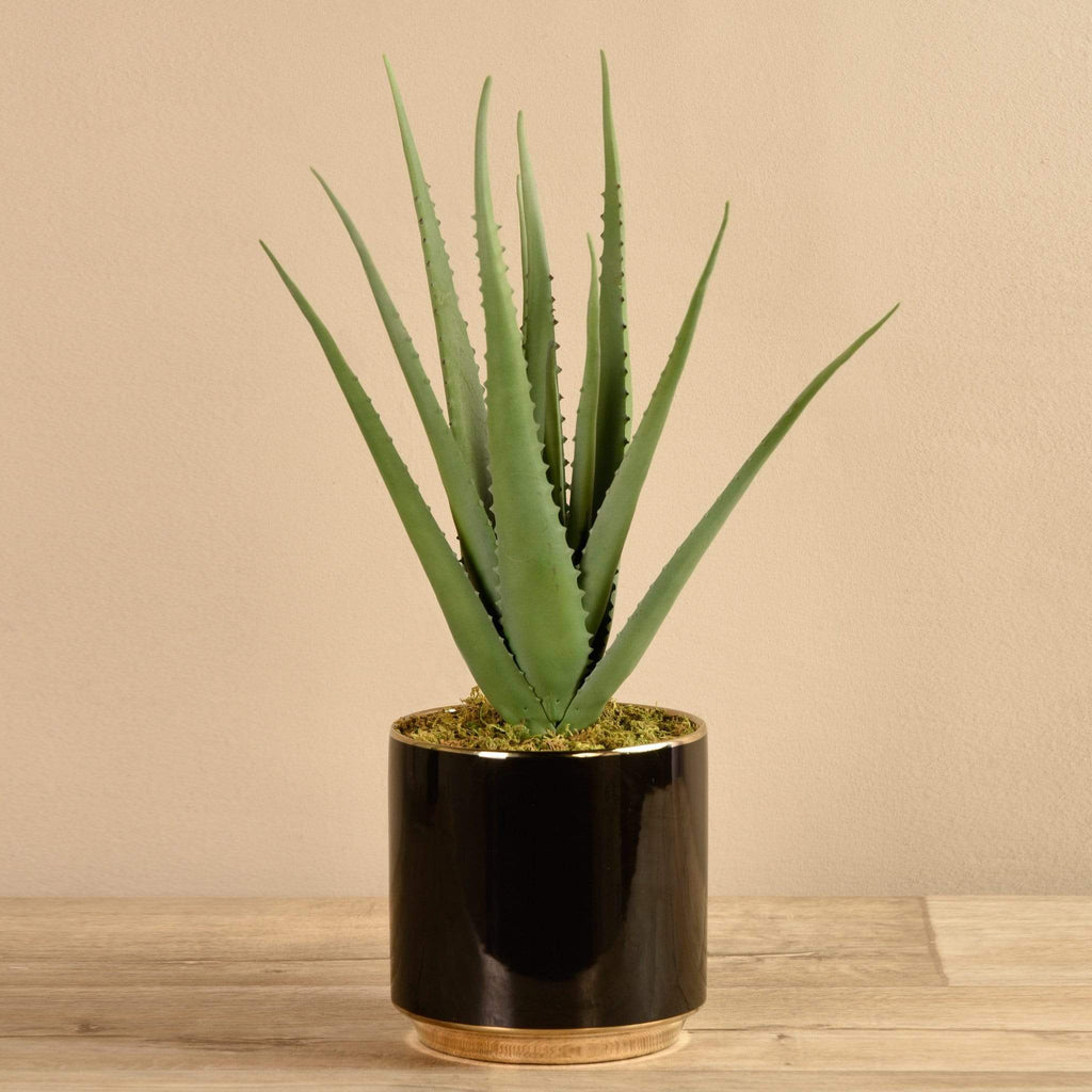 Artificial Potted Aloe - Bloomr