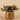 Plants-Artificial Potted Dark Vanilla Leaf Plant-Bloomr