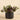 Plants-Artificial Potted Dark Vanilla Leaf Plant-Bloomr