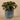 Plants-Artificial Potted Ligularia-Bloomr