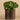 Plants-Artificial Potted Pancake Plant-Bloomr