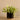 Plants-Artificial Potted Vanilla Leaf-Bloomr