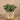 Plants-Artificial Potted Eucalyptus-Bloomr