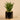 Plants-Artificial Potted Agave-Bloomr