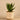 Plants-Artificial Potted Agave-Bloomr