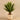 Plants-Artificial Potted Agave-Bloomr