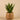 Plants-Artificial Potted Agave-Bloomr