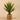 Plants-Artificial Potted Agave-Bloomr