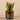 Plants-Artificial Potted Aloe-Bloomr