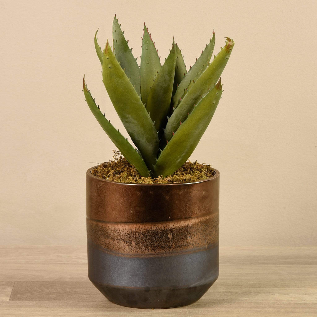 Artificial Potted Aloe - Bloomr