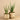 Plants-Artificial Potted Aloe-Bloomr