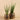 Plants-Artificial Potted Aloe-Bloomr